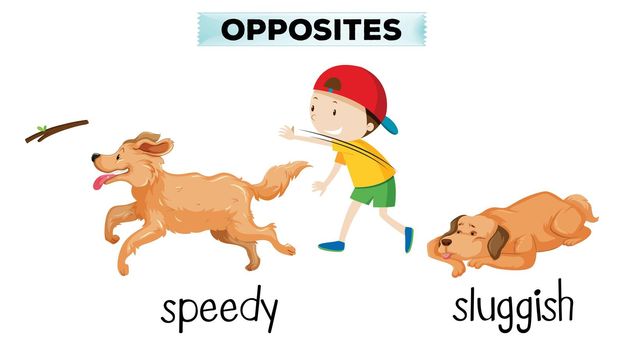 english vocabulary opposite word illustration