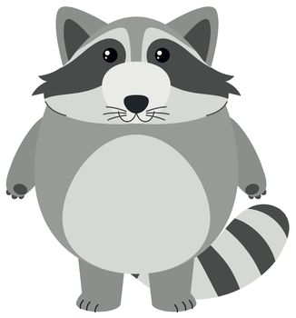 Cute raccoon with round body illustration