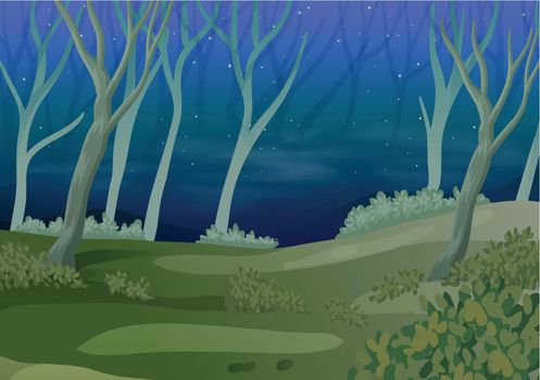 A forest at night time illustration