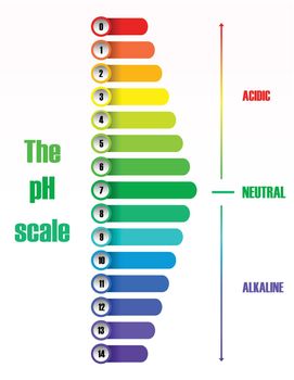 The ph scale diagram illustration