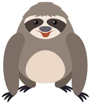 Sloth on white background illustration