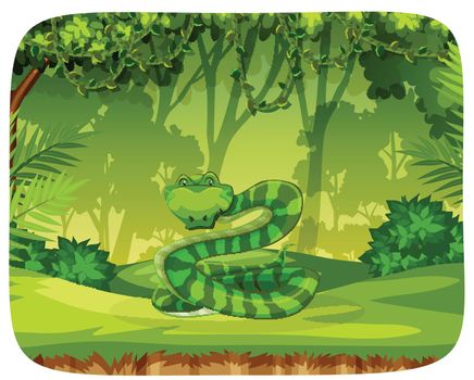 A snake in jungle illustration