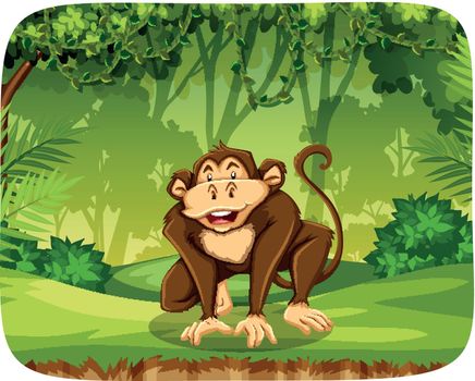 A monkey in the jungle illustration