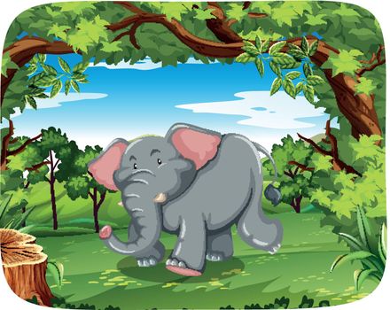 Elephant in the wild illustration