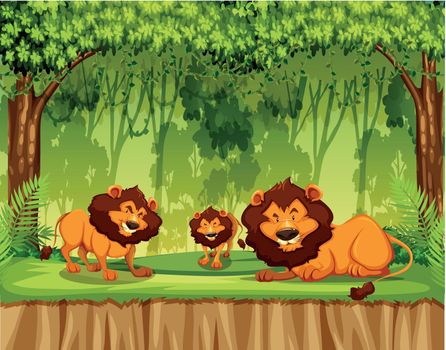 Lion in the jungle illustration