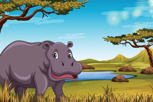 Hippopotamus in the savanna scene illustration