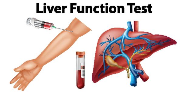 Set of liver function test for education illustration