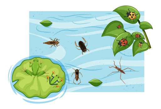 Top view of aquatic insects in the pond illustration