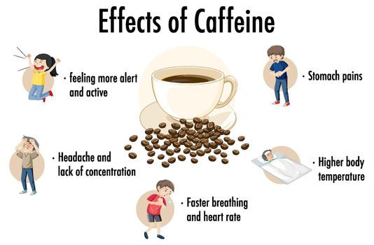Effects of caffeine information infographic illustration