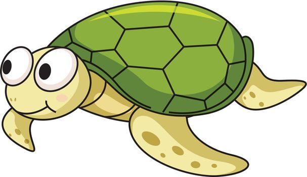 Illustration of an isolated turtle