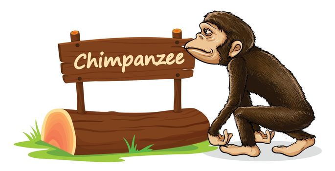 illustration of chimpanzee and name plate on a white