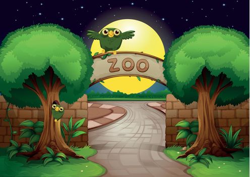 illustration of a zoo and owl in a beautiful nature