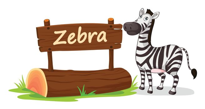 illustration of zebra on a white background