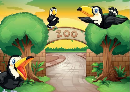 illustration of a zoo and birds in a beautiful nature