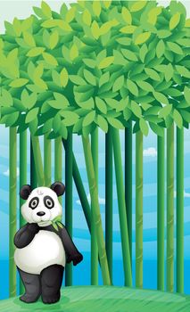 illustration of a panda in nature