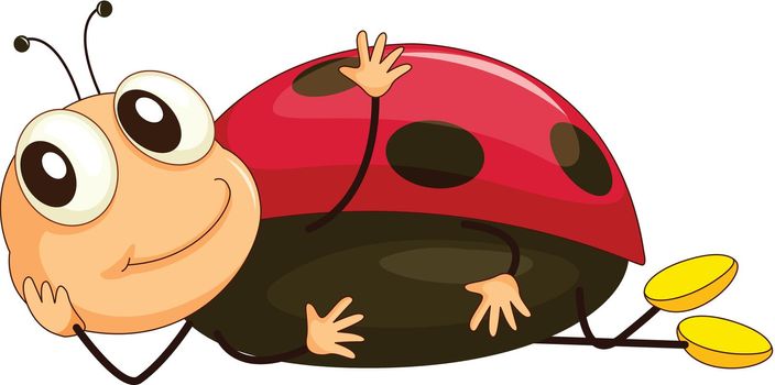 Illustration of a comical ladybug