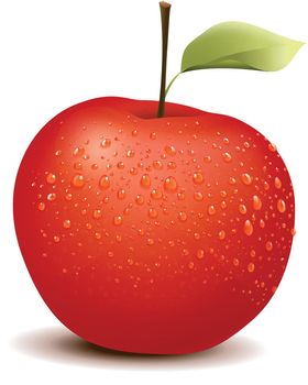 Illustration of photo-like red apple