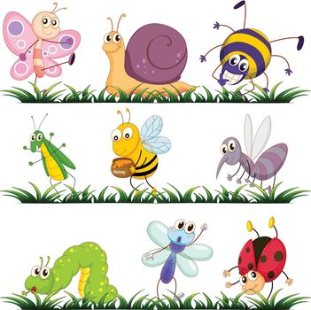 Illustration of bugs on grass