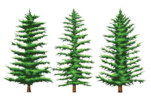 Set vector illustration Of Three types  pinetrees