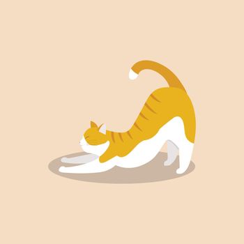 Cat cartoon character. vector illustration