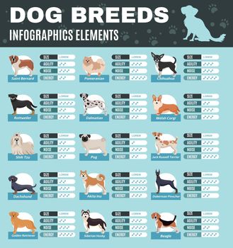 Colored breed dogs infographics with size agility noise and energy points of different breeds vector illustration