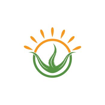 aloevera with sun  logo icon vector illustration design template