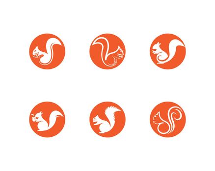 Squirrel vector icon illustration design