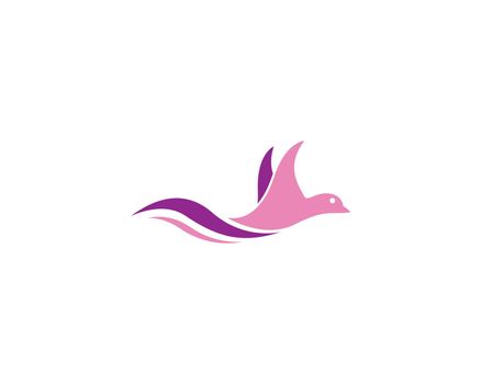 Hummingbird logo template vector icon illustration design
