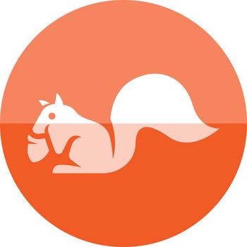 Squirrel icon in flat color circle style. Mammal animal