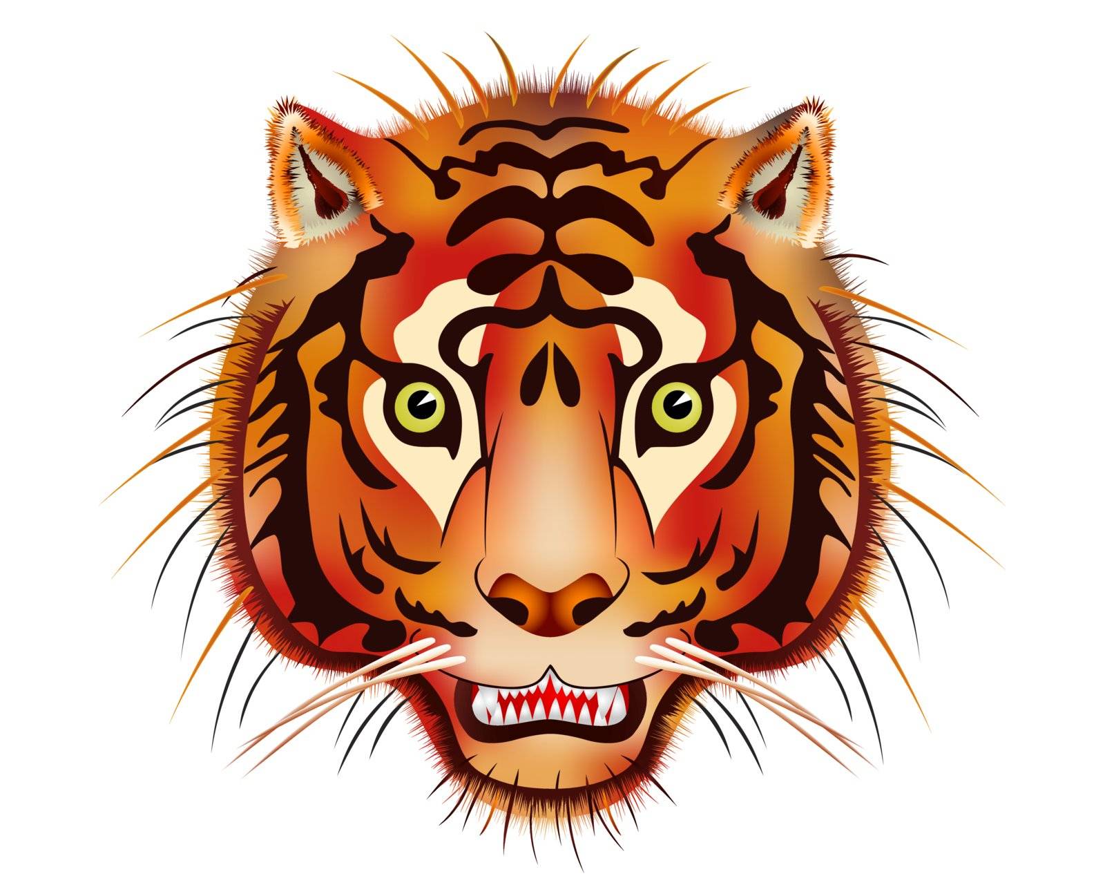 Illustration of the tiger head - beast of prey 