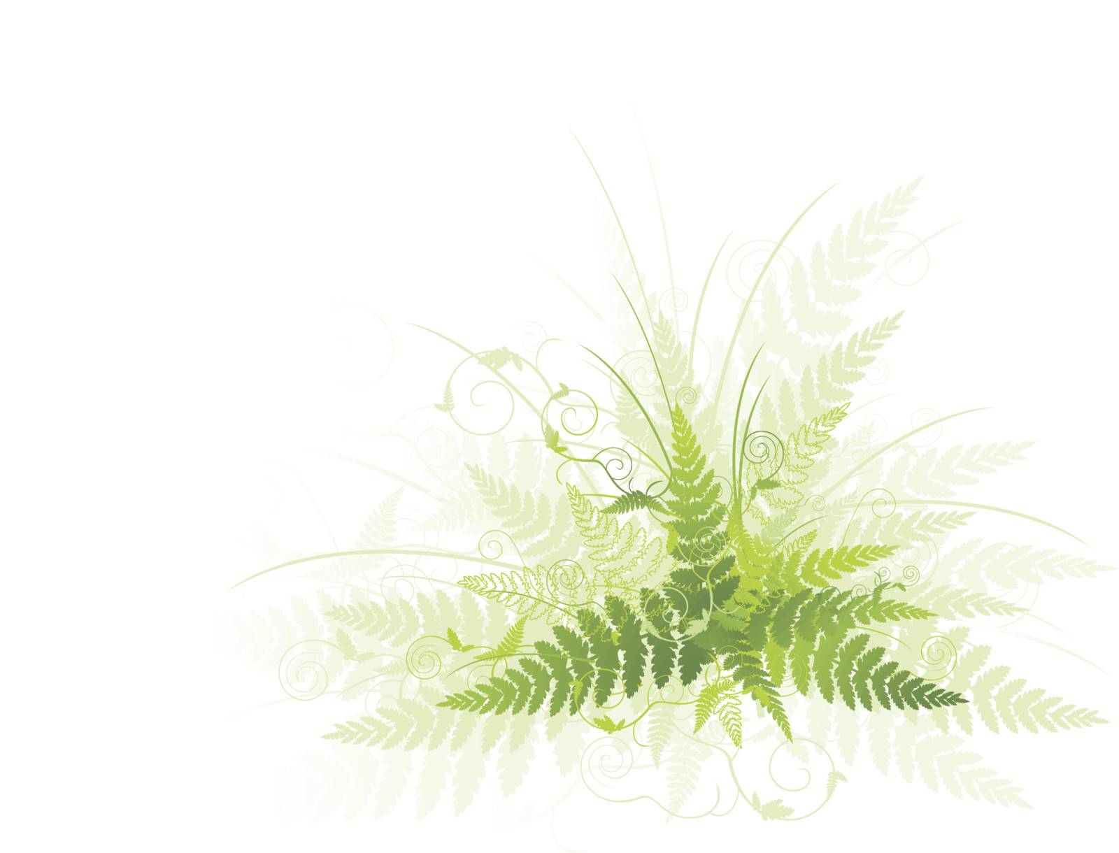 green fern as a decoration element