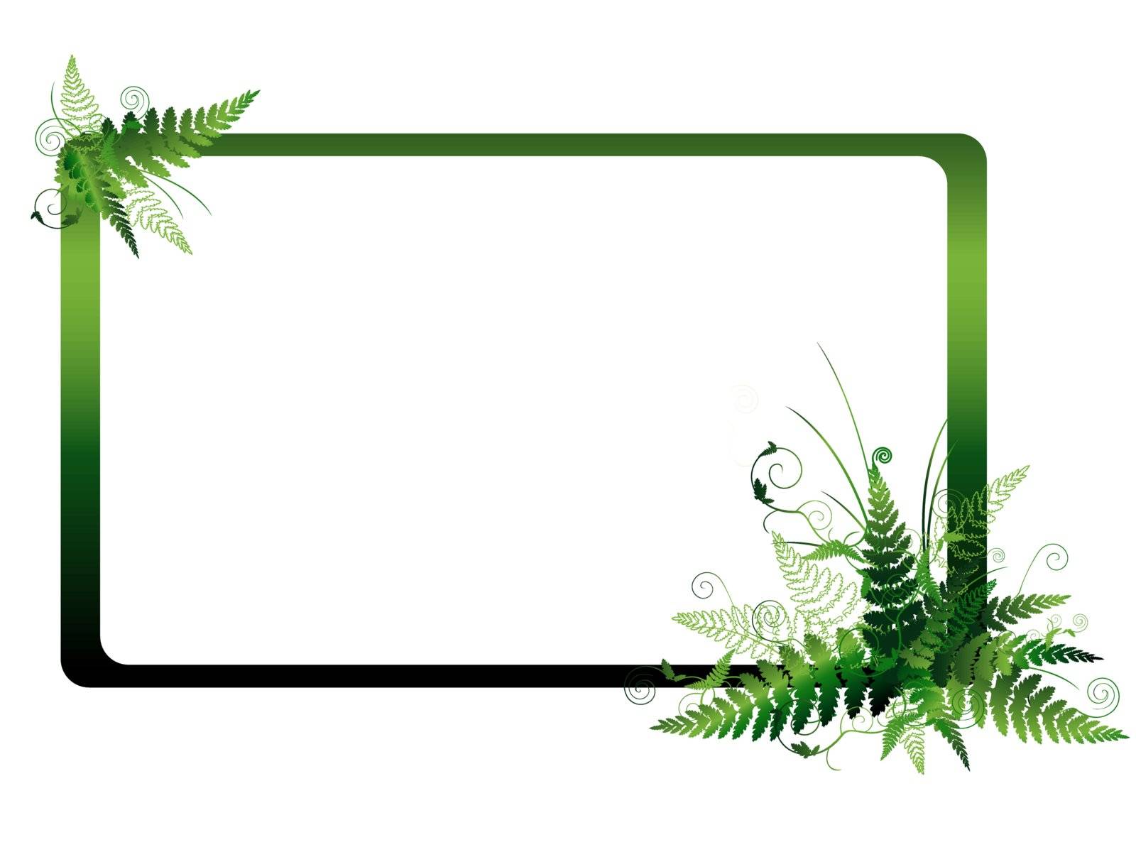 Illustration of the fern frame with copyspace for your text 