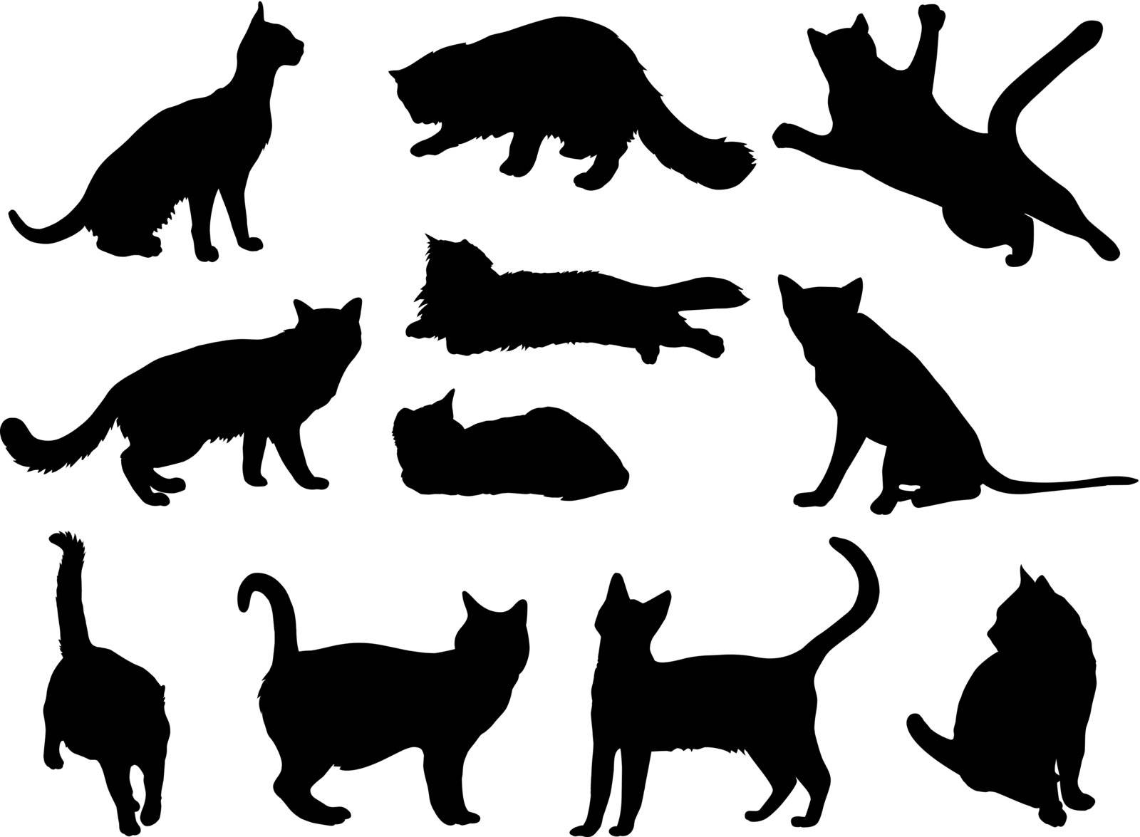 Cat silhouette collection. Vector Illustration 