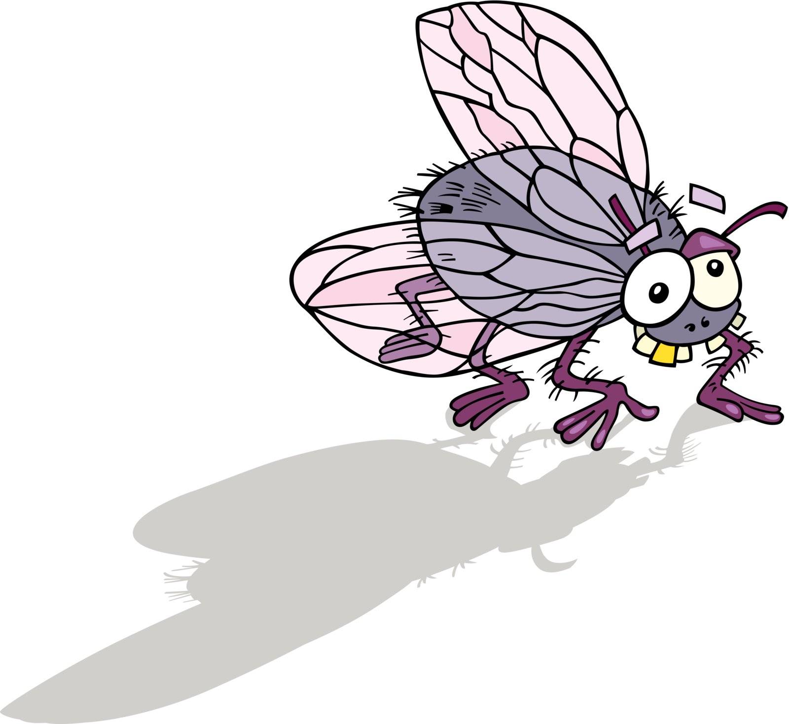 cartoon vector Illustration of funny fly insect