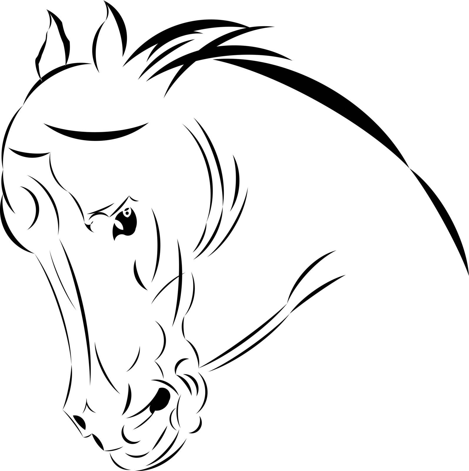 Vector illustration tattoo style sketch  horse head.