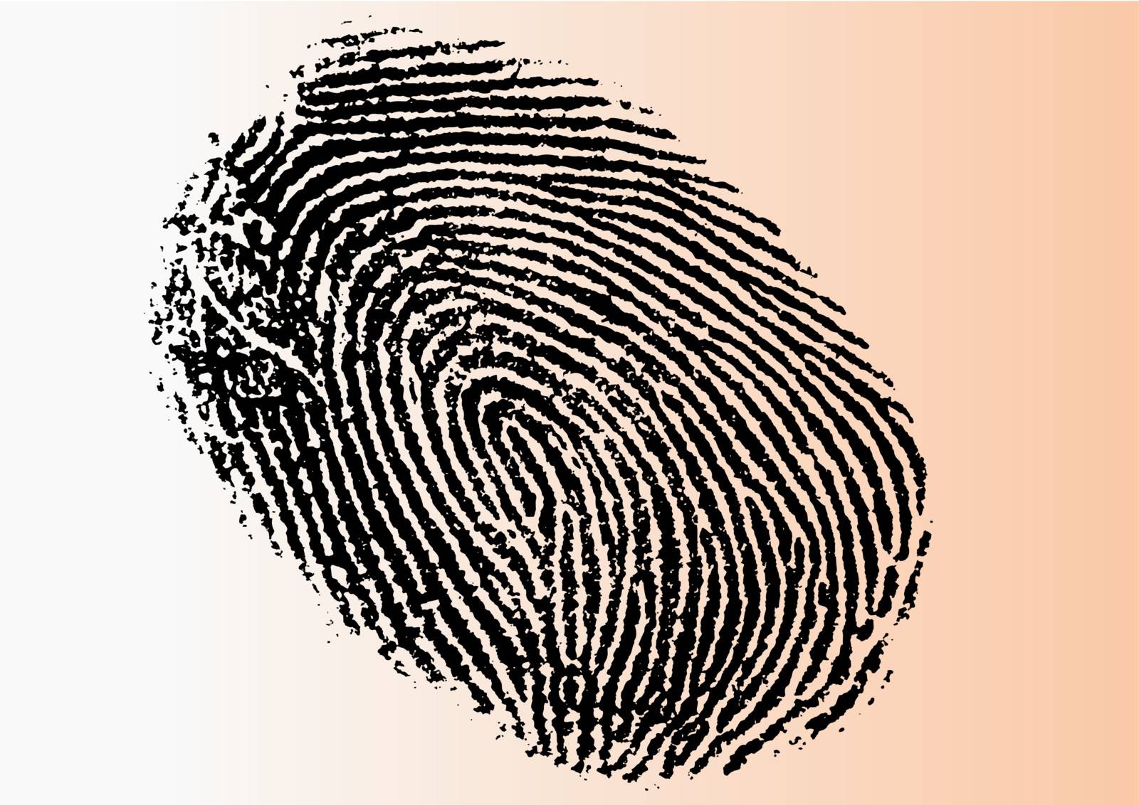 Detailed Fingerprint by Pokerman