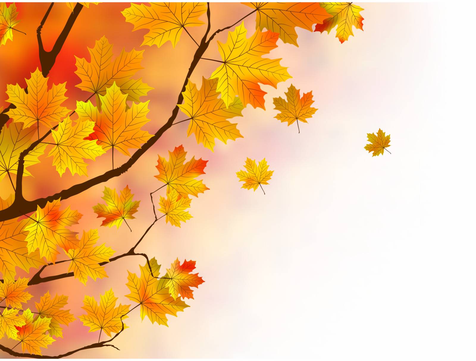 Warm colors of Autumn. EPS 8 vector file included