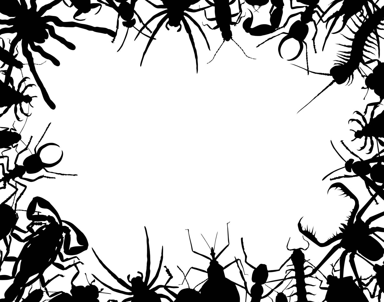 Border frame of editable vector outlines of insects and other invertebrates