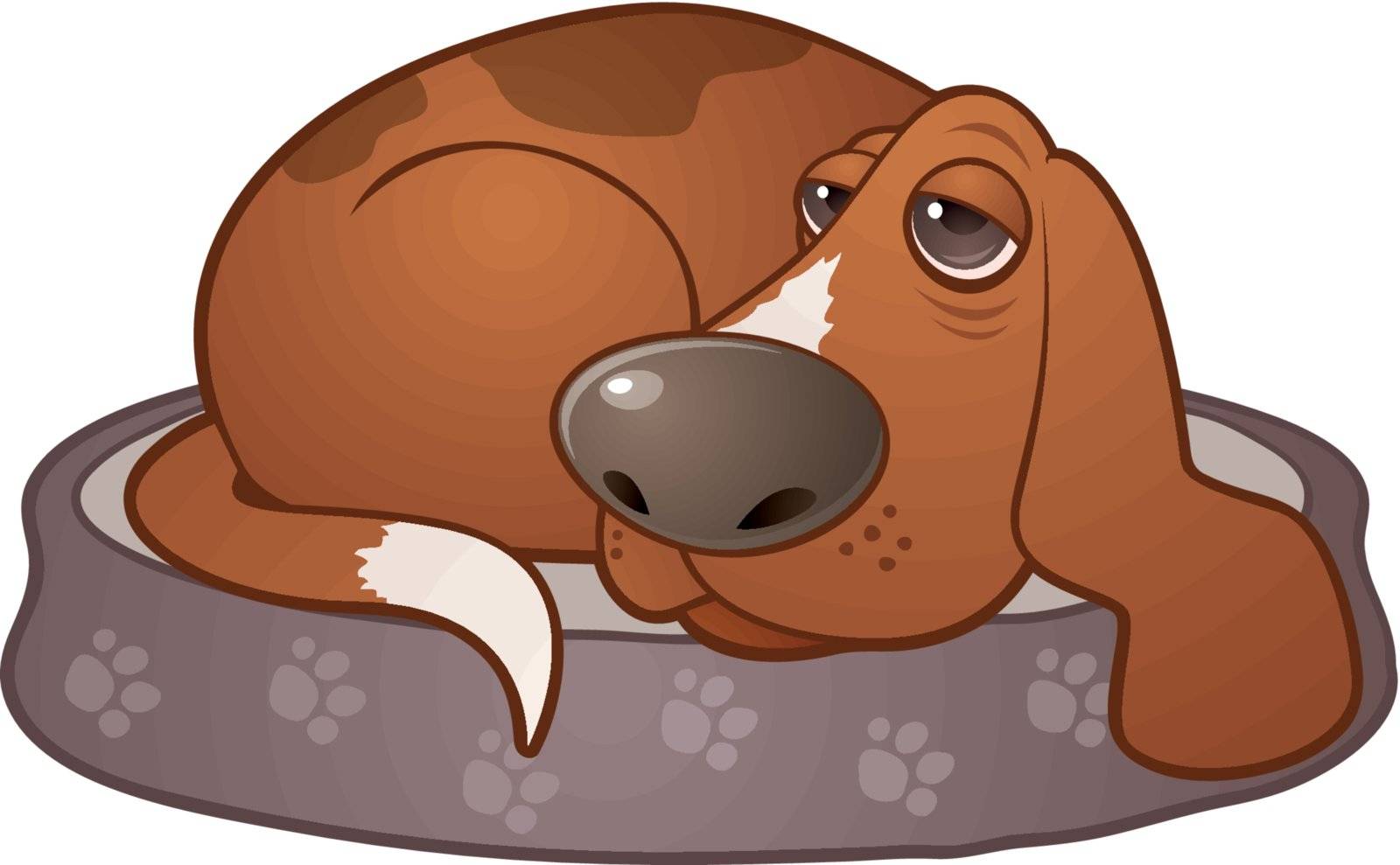 Vector cartoon illustration of a sleepy hound dog lying on a paw print dog bed.