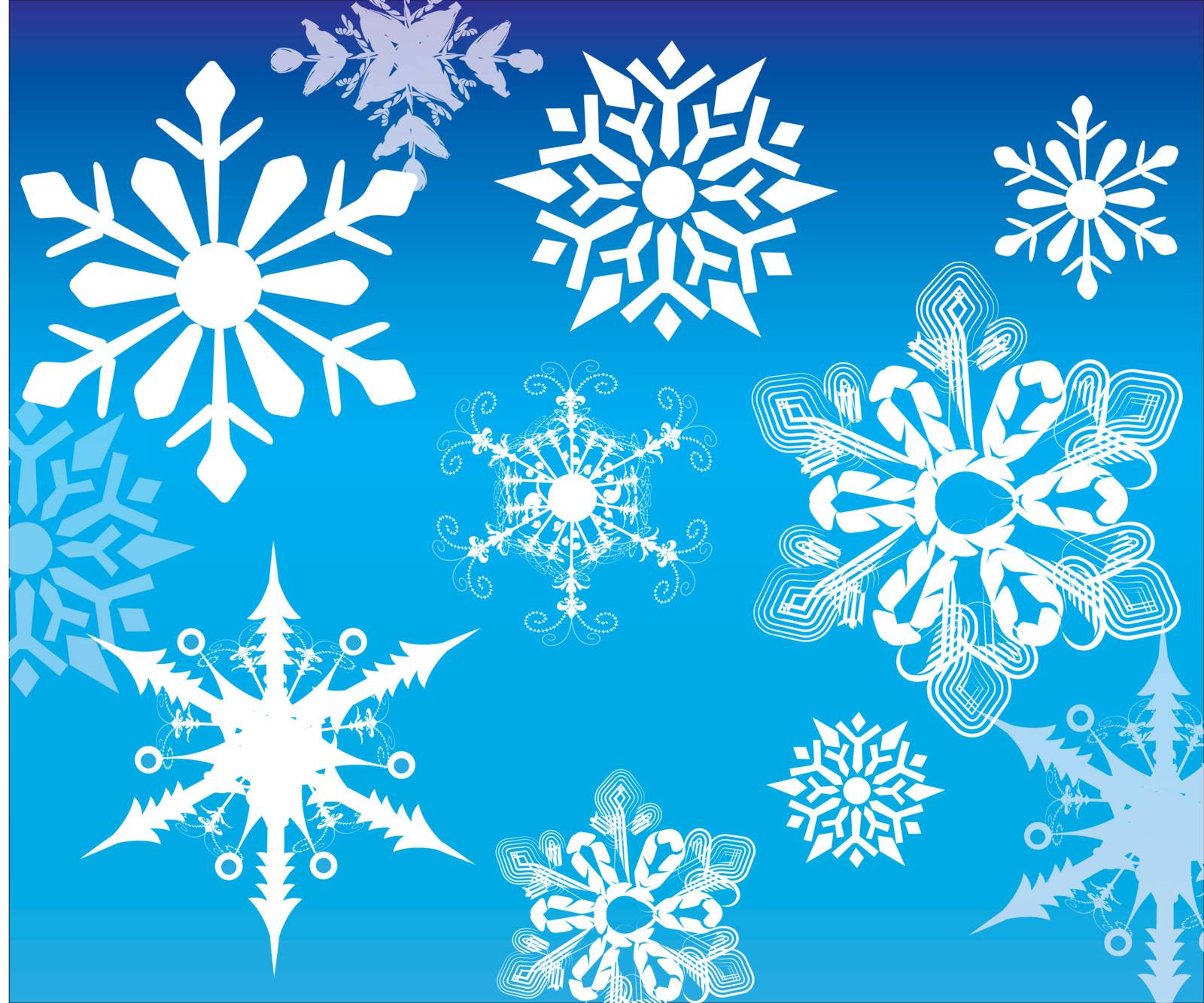 Beautiful different Snowflake set in blue background