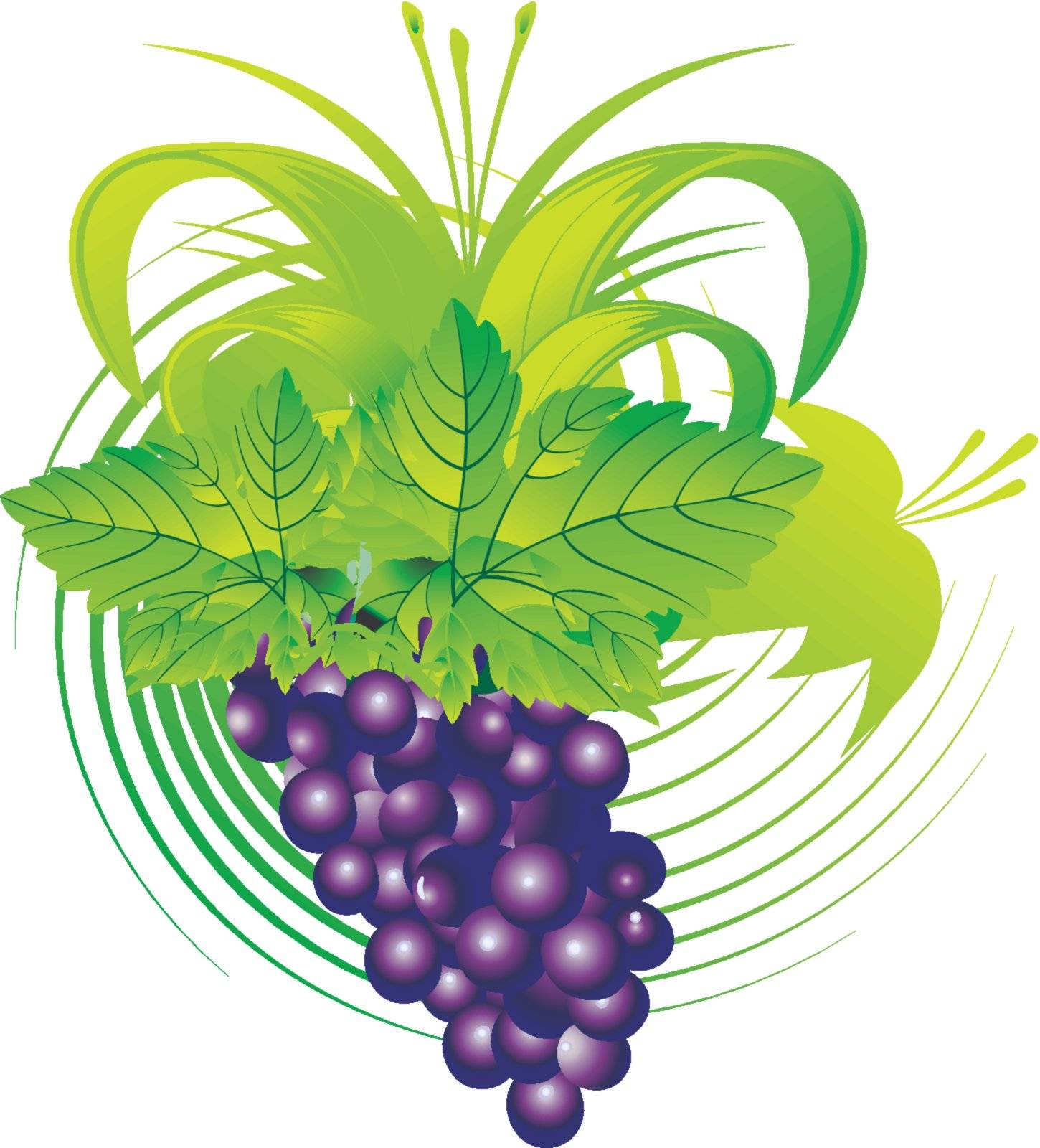 The stylised cluster of grapes with leaves on an abstract background
