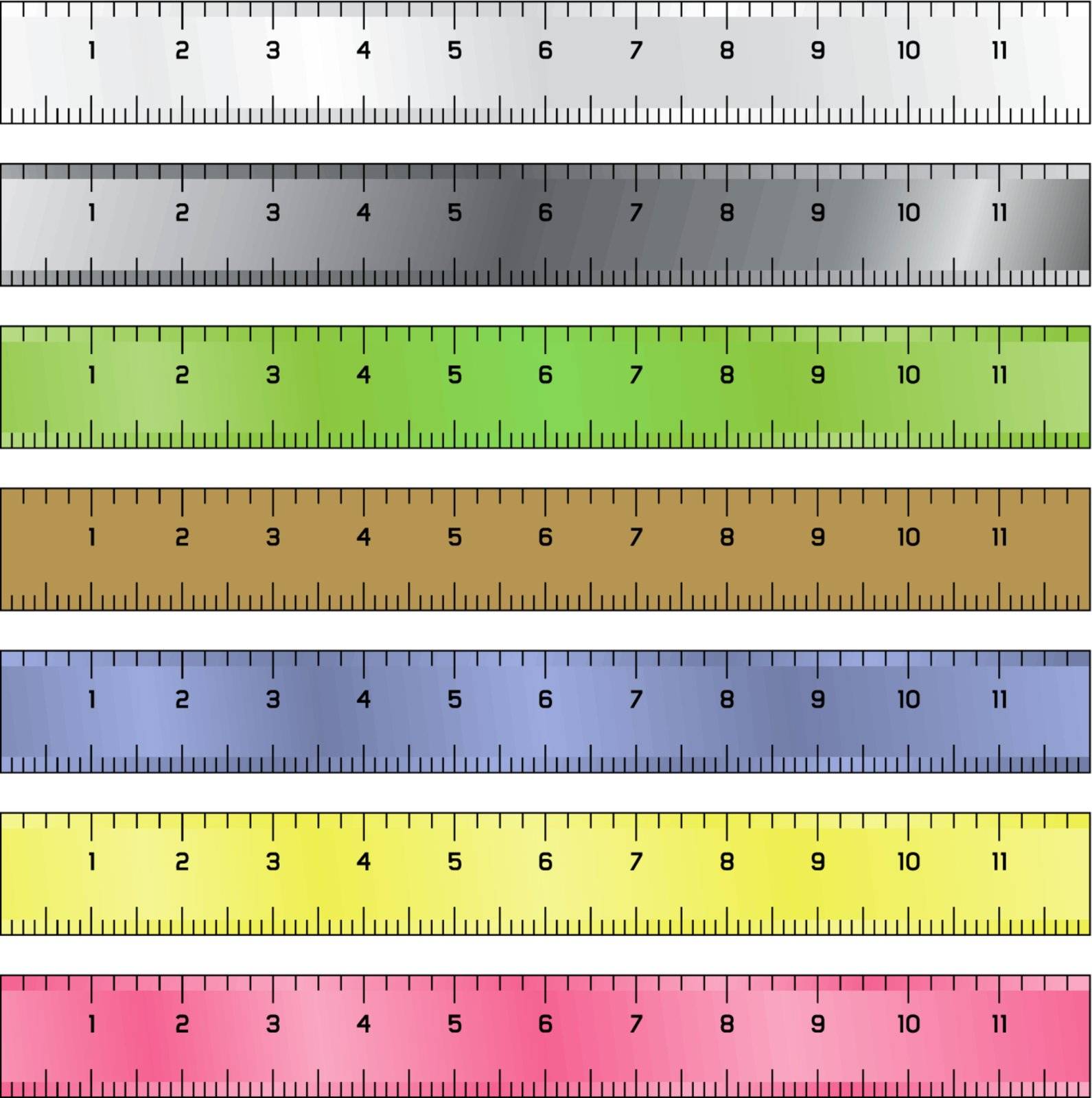Detailed vector illustration of common measurement rulers

