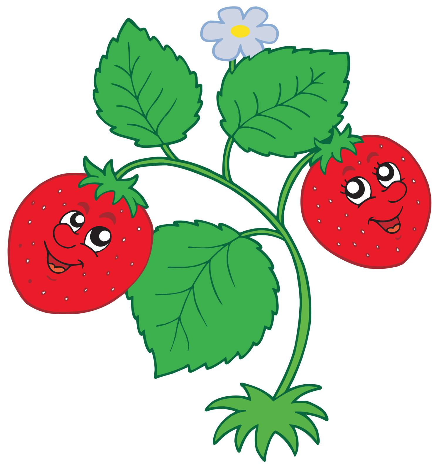 Cute strawberry on white background - vector illustration.