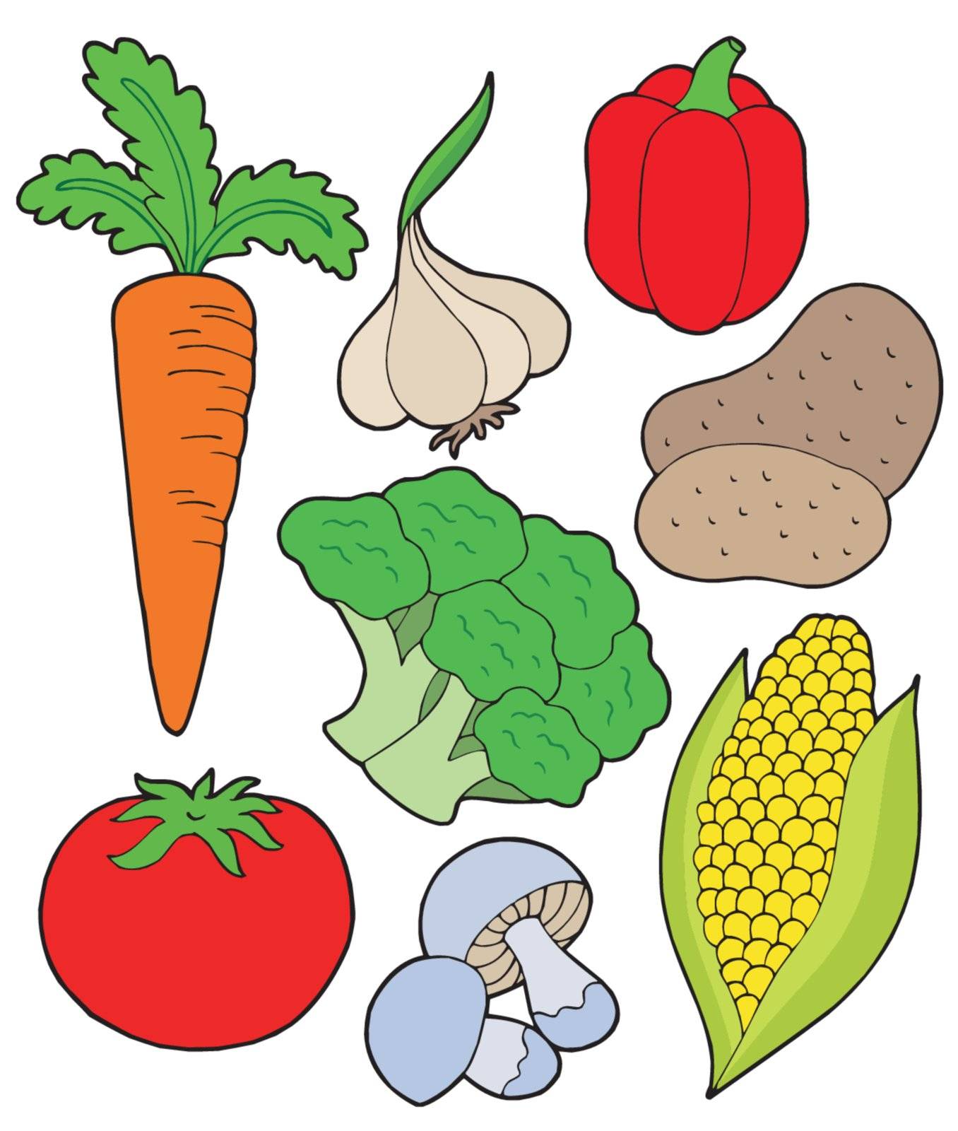 Vegetable collection on white background - vector illustration.