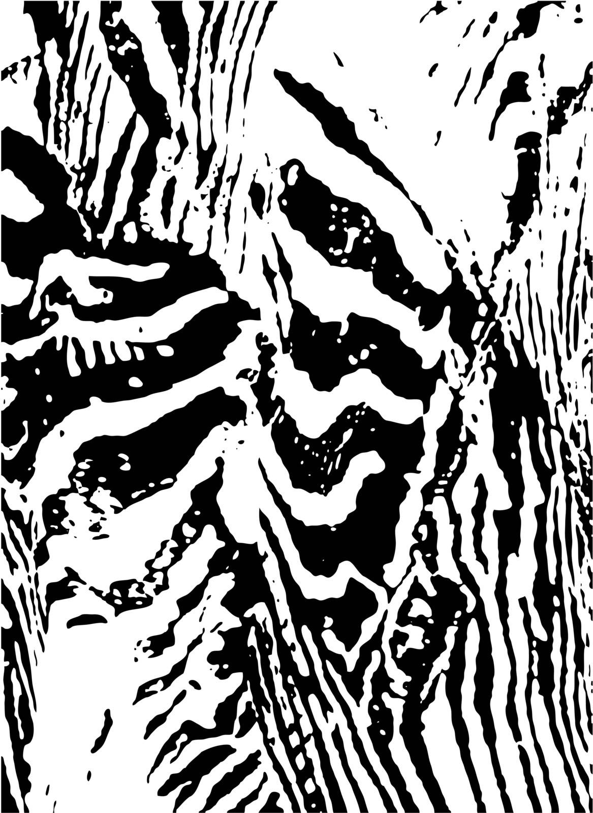 Zebra print background closeup by catchmybreath