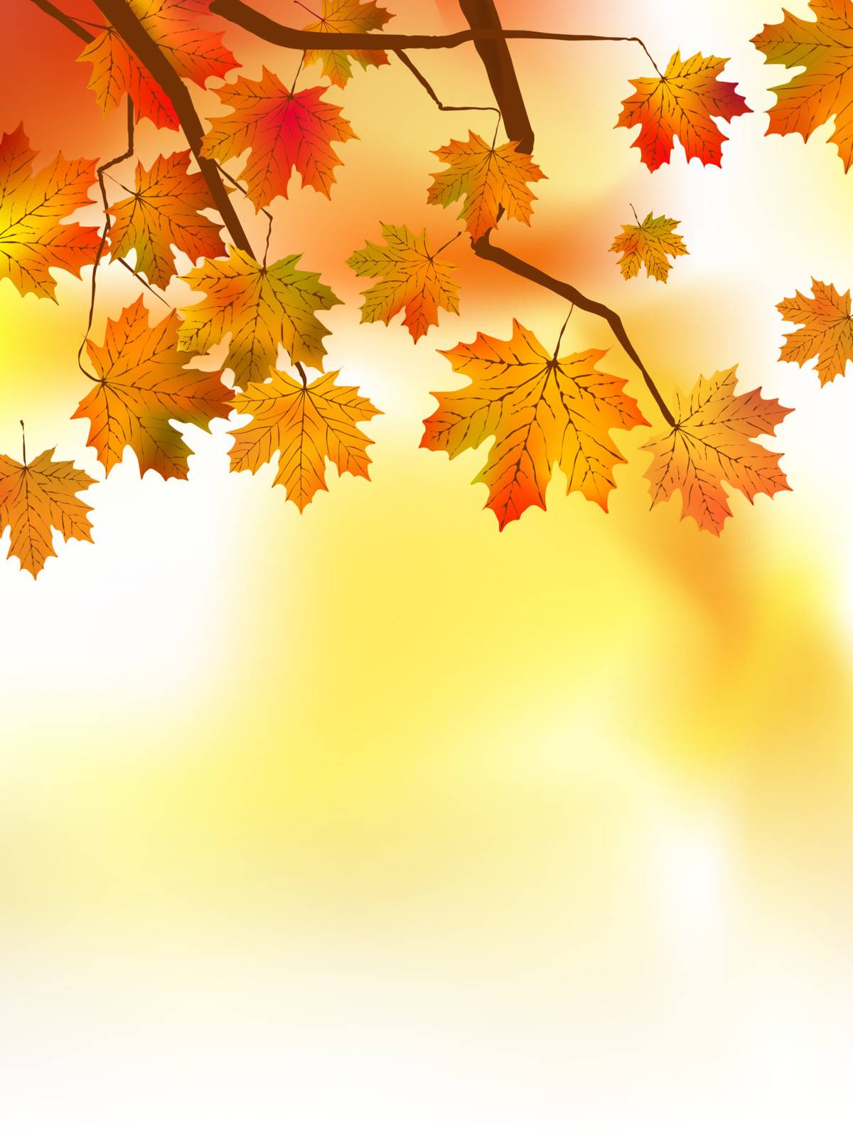 Autumnal leaf of maple and sunlight. EPS 8 vector file included