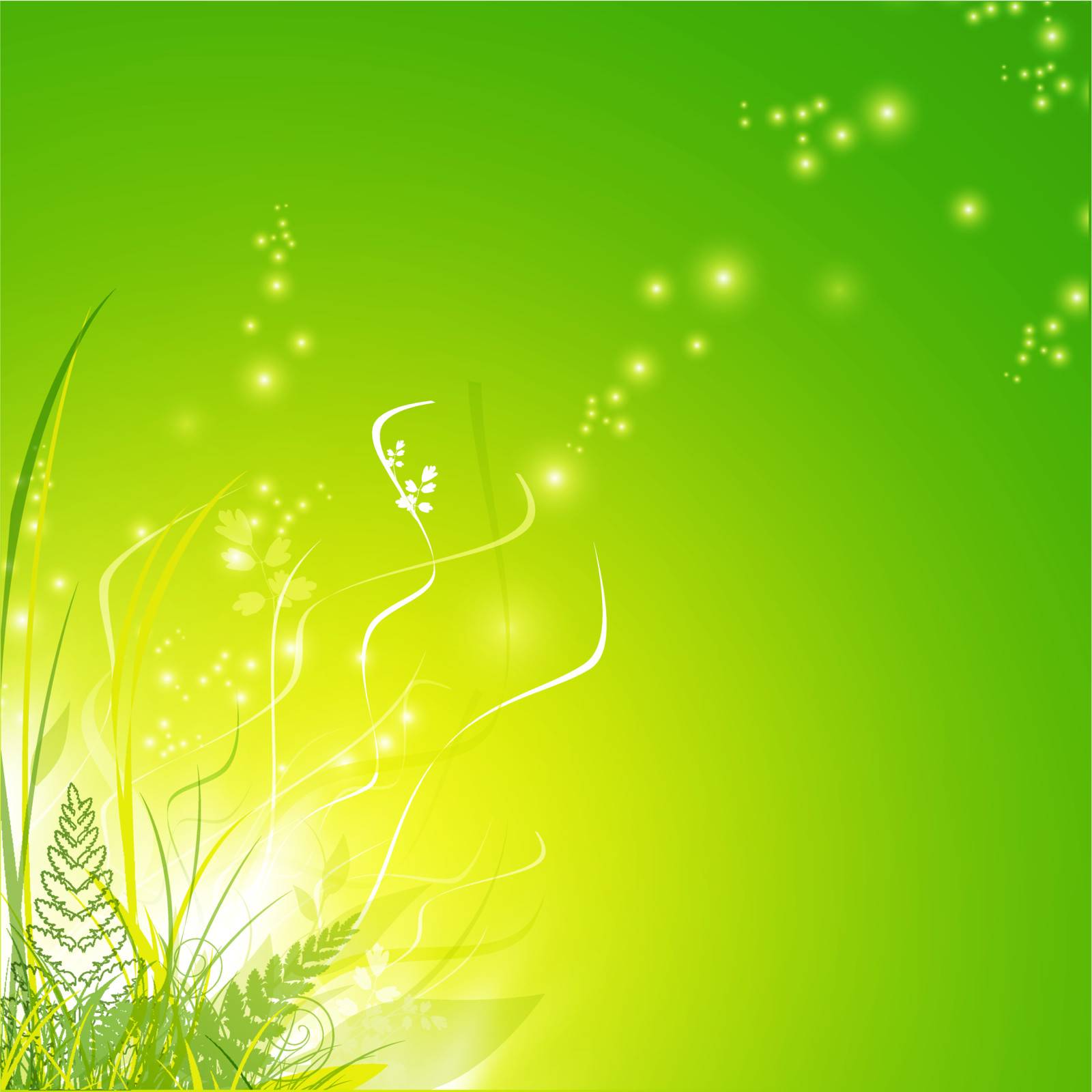 green grass and fern over magic floral decoration, copyspace
