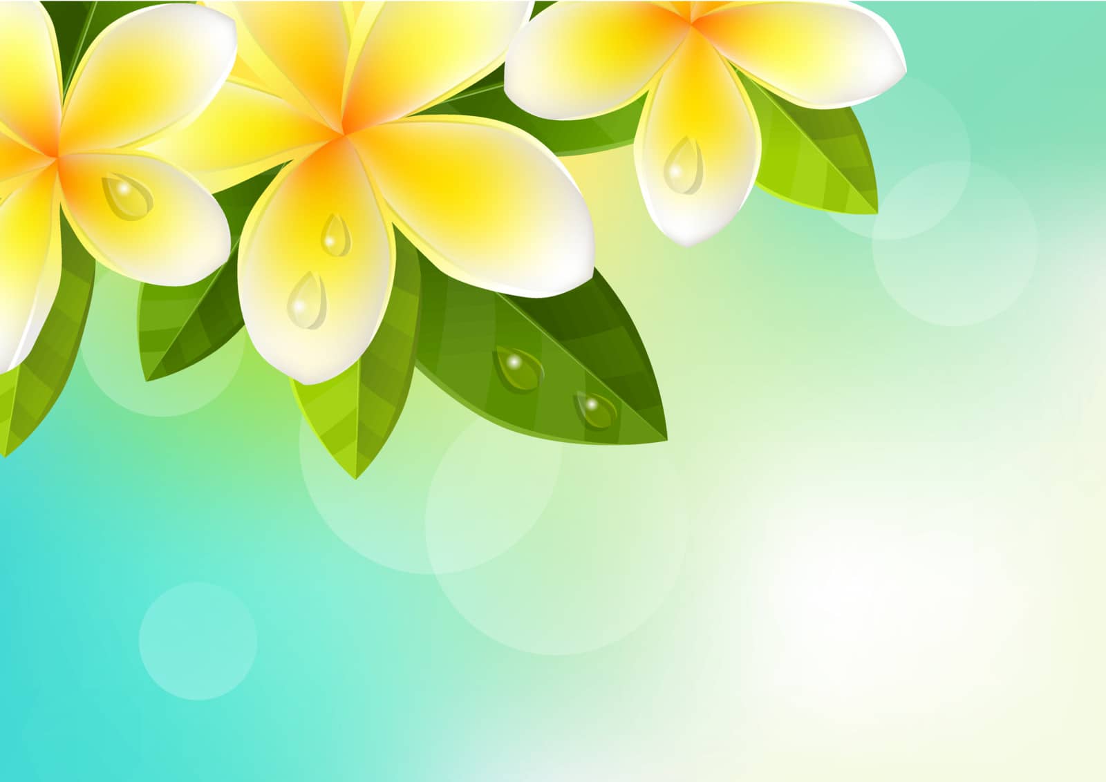 Tropic blue background with frangipani flowers