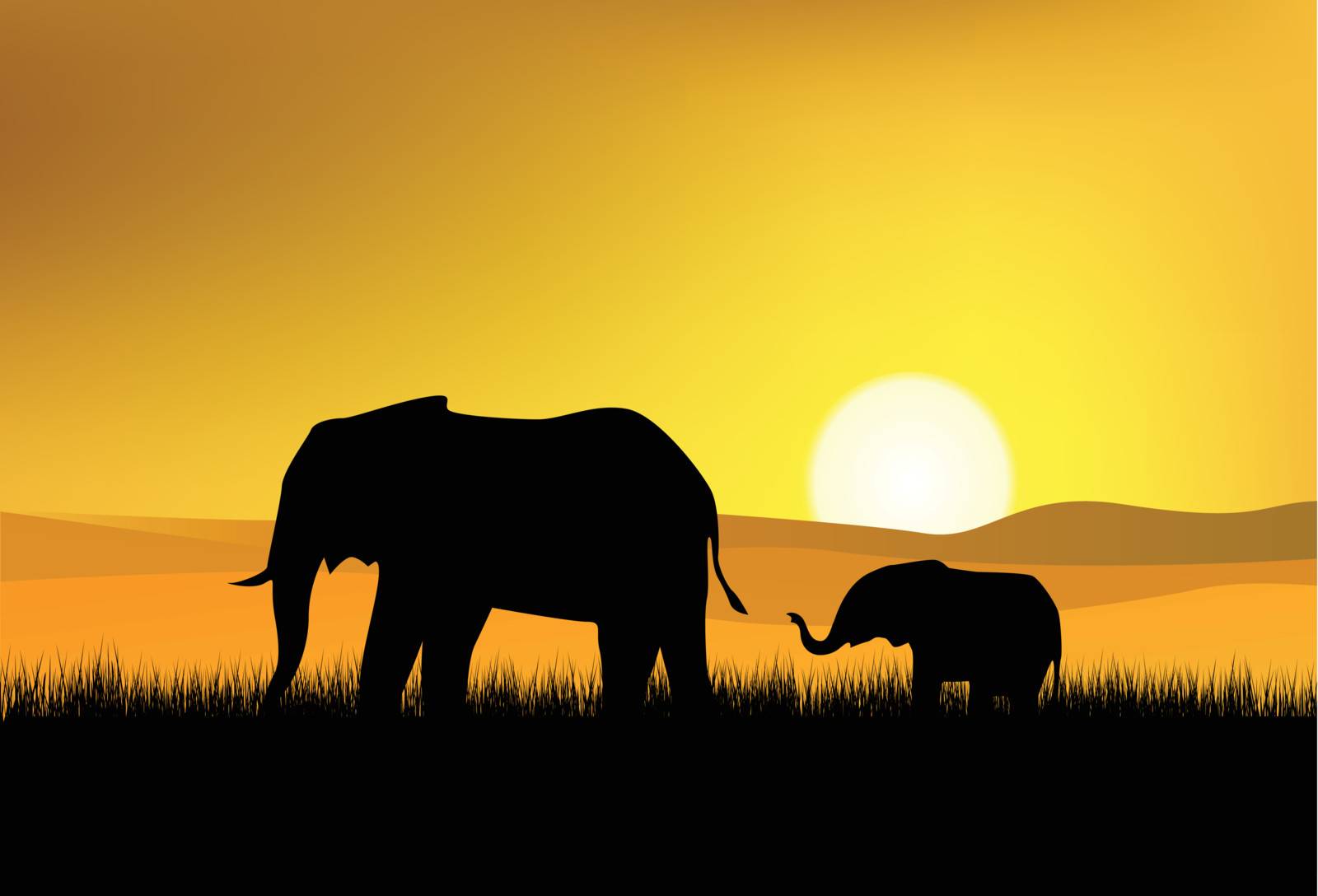 Vector illustration of elephant in the wild