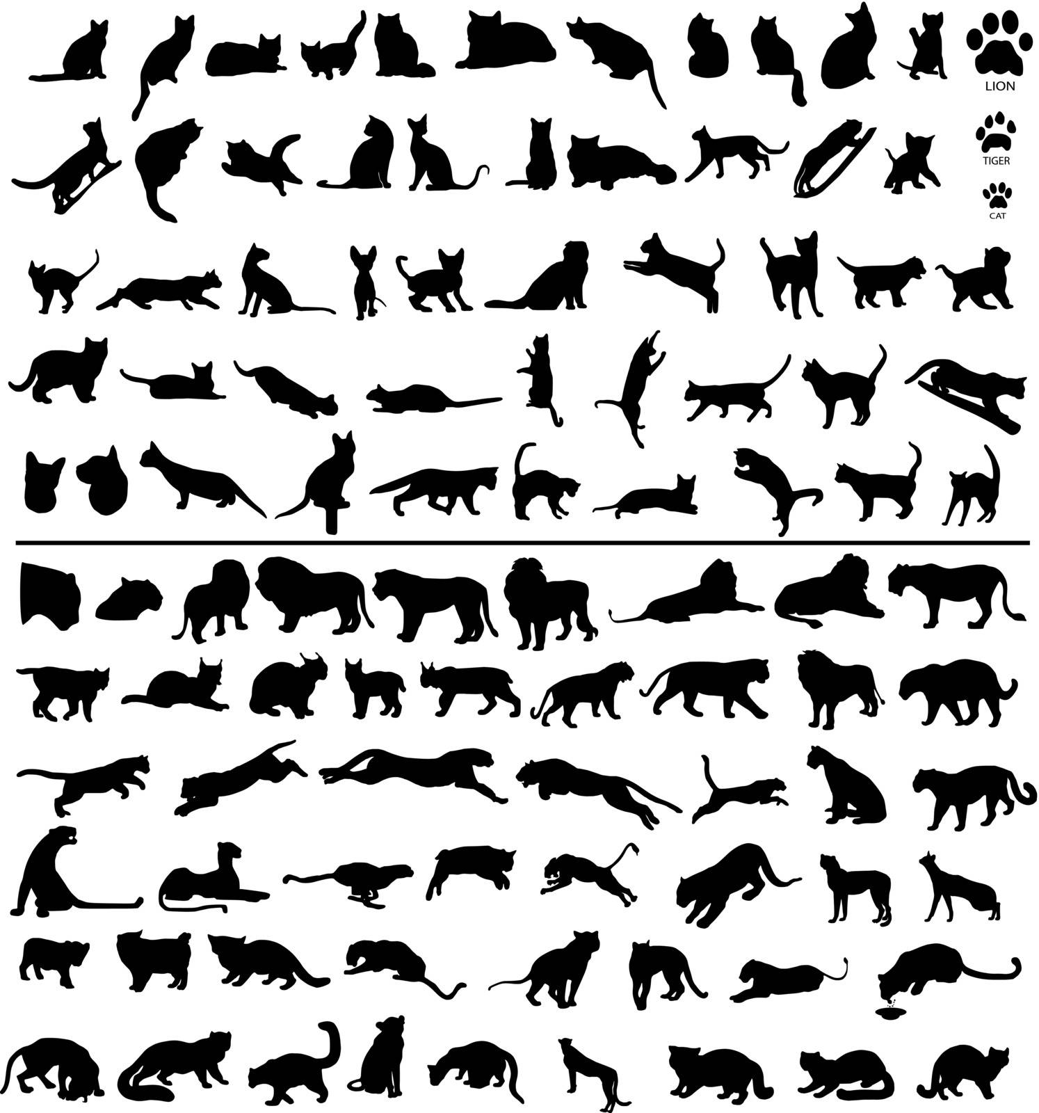 100 silhouettes of big and small cats